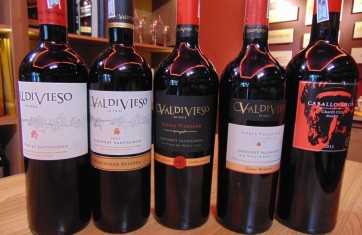Rượu Vang Chile Valdivieso